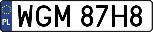 WGM87H8