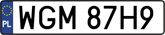 WGM87H9