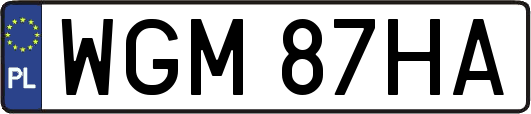 WGM87HA