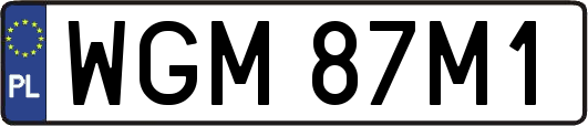 WGM87M1