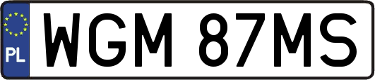 WGM87MS