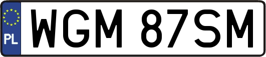 WGM87SM