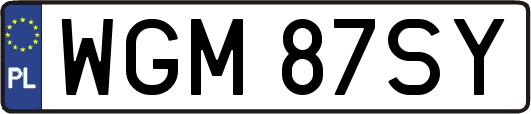 WGM87SY