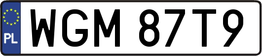 WGM87T9
