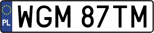 WGM87TM