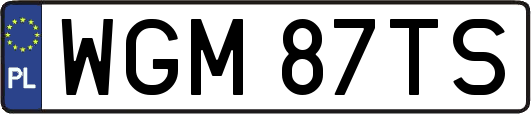 WGM87TS