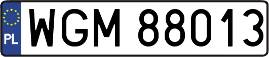WGM88013