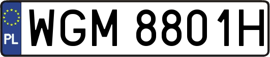 WGM8801H