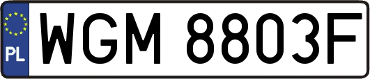 WGM8803F