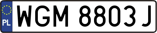 WGM8803J