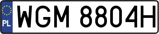 WGM8804H
