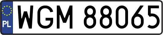 WGM88065