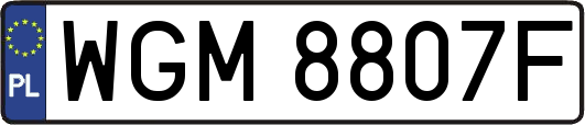 WGM8807F