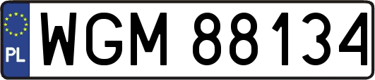 WGM88134