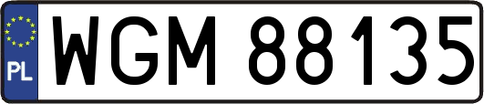WGM88135