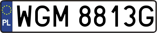 WGM8813G