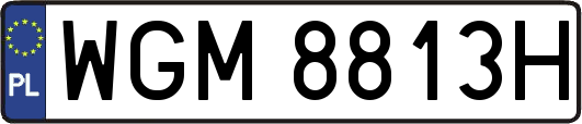 WGM8813H