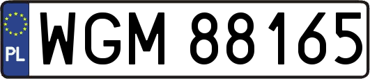 WGM88165