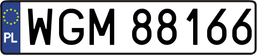 WGM88166