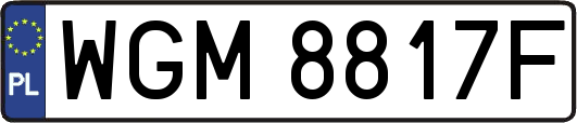 WGM8817F