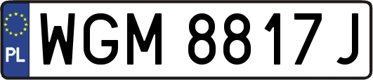WGM8817J