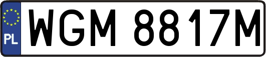 WGM8817M