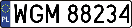 WGM88234