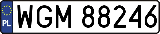 WGM88246