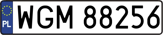 WGM88256