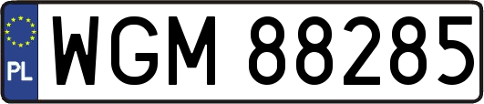 WGM88285