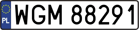 WGM88291