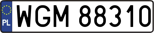 WGM88310