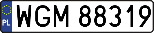 WGM88319