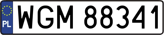WGM88341