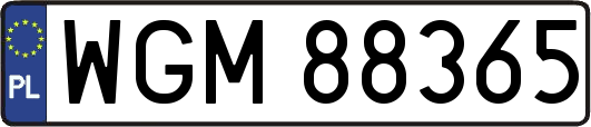 WGM88365