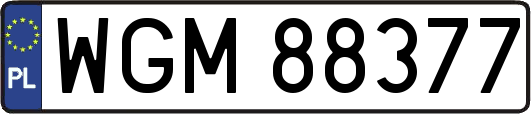 WGM88377
