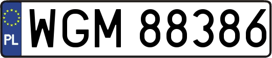 WGM88386