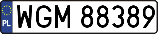 WGM88389