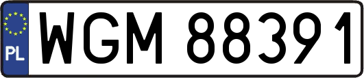 WGM88391