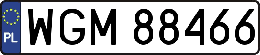 WGM88466
