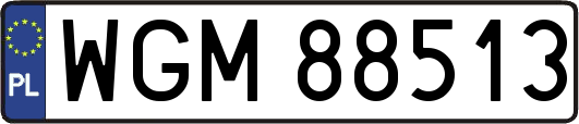 WGM88513