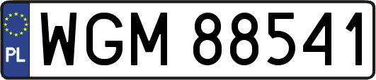 WGM88541