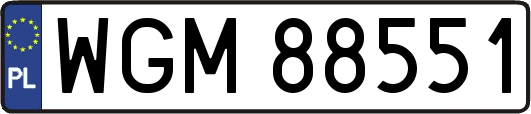 WGM88551