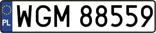 WGM88559