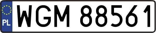 WGM88561