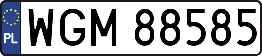 WGM88585