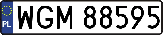 WGM88595
