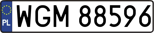 WGM88596