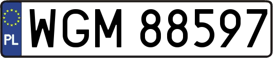 WGM88597