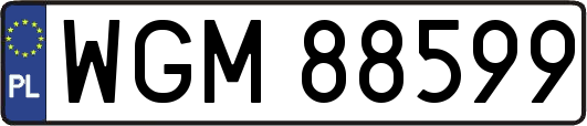 WGM88599